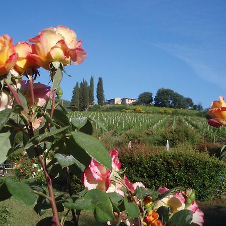 Villa Buonasera Agriturismo Greve in Chianti Ngoại thất bức ảnh