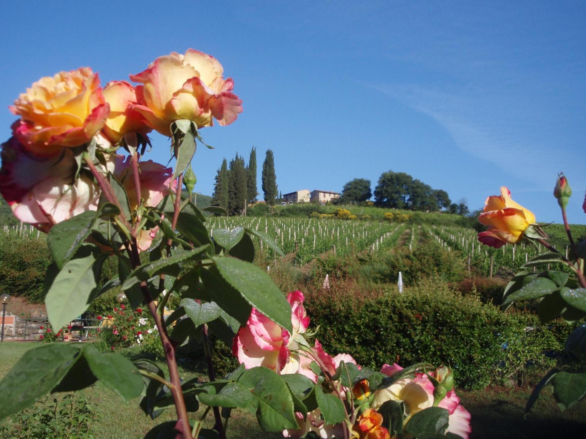 Villa Buonasera Agriturismo Greve in Chianti Ngoại thất bức ảnh