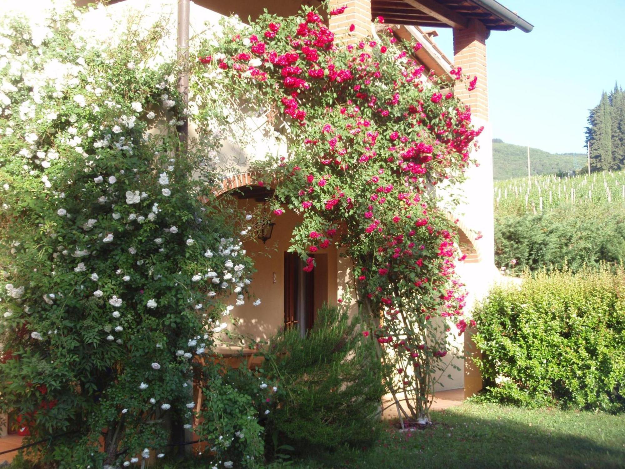 Villa Buonasera Agriturismo Greve in Chianti Ngoại thất bức ảnh